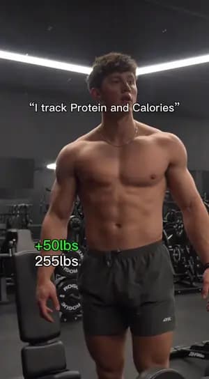 Lushi Tacos — Protein tracking